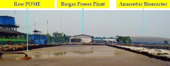 Anaerobic Digester and Biogas Power Plant 